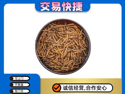 凤泉区回收散虫草